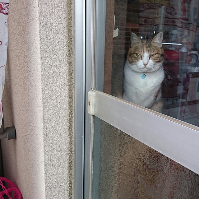 berariさんの実例写真