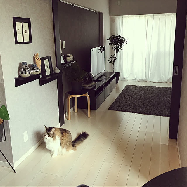 tititomyuさんの実例写真
