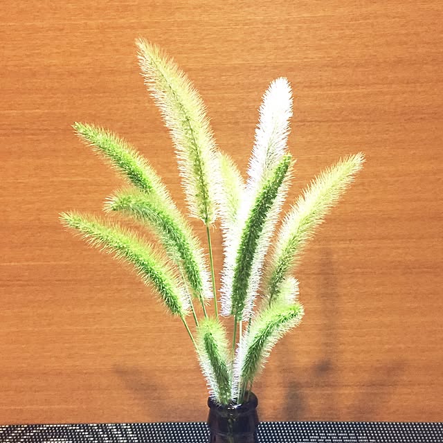 LeMondさんの実例写真
