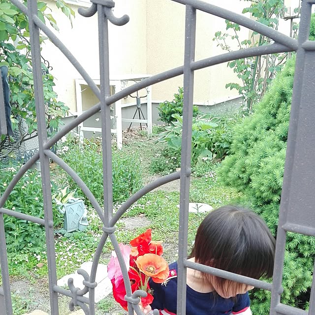 noraさんの実例写真