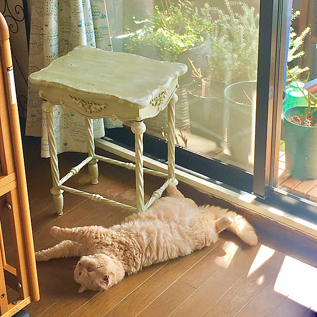 naokoさんの部屋