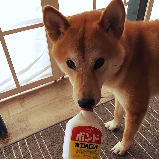 diez_taraさんの実例写真
