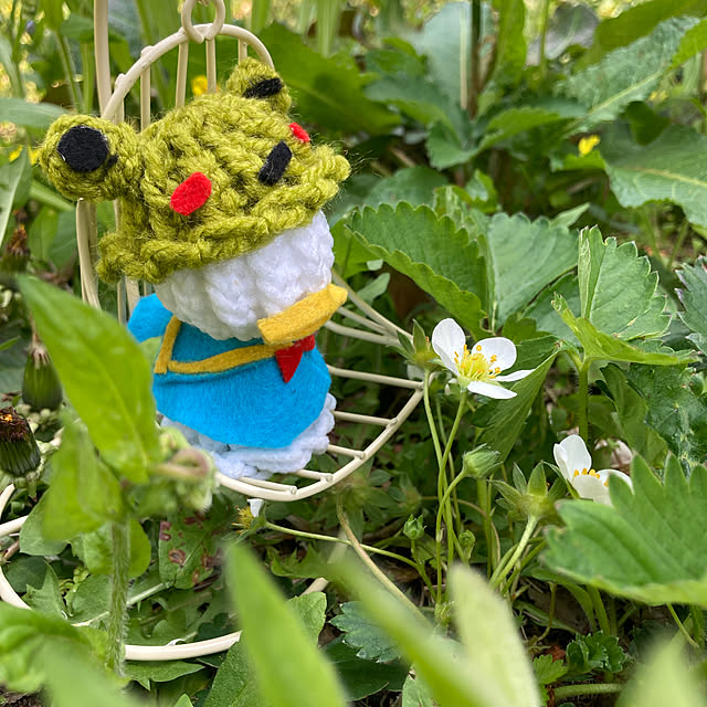manduonmaさんの実例写真
