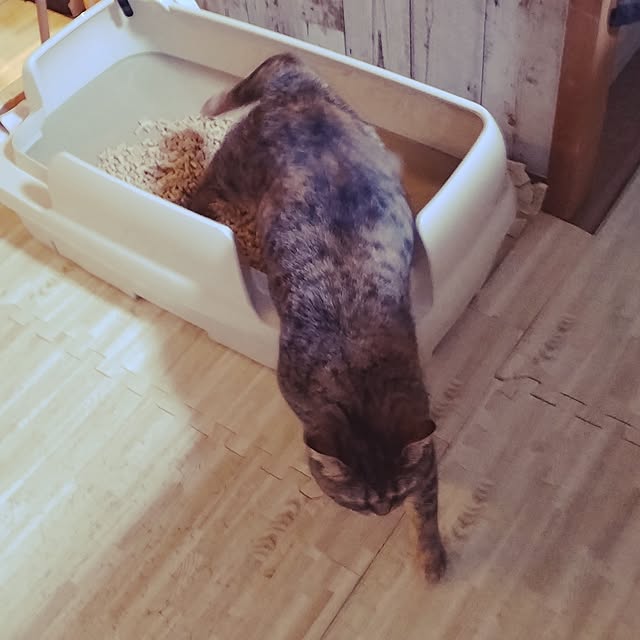 runaさんの部屋