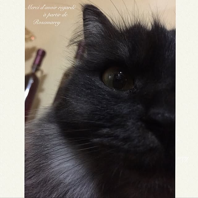 maria.rさんの実例写真