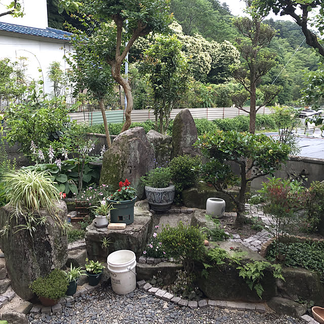 chiechanさんの実例写真