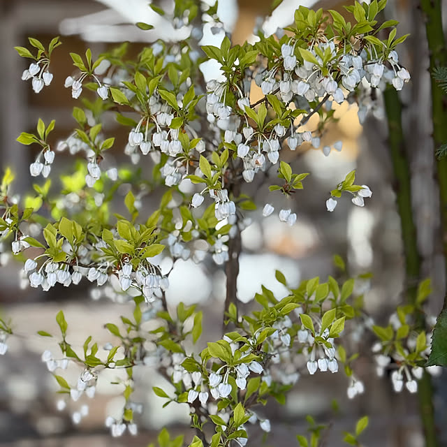 asako.10さんの部屋