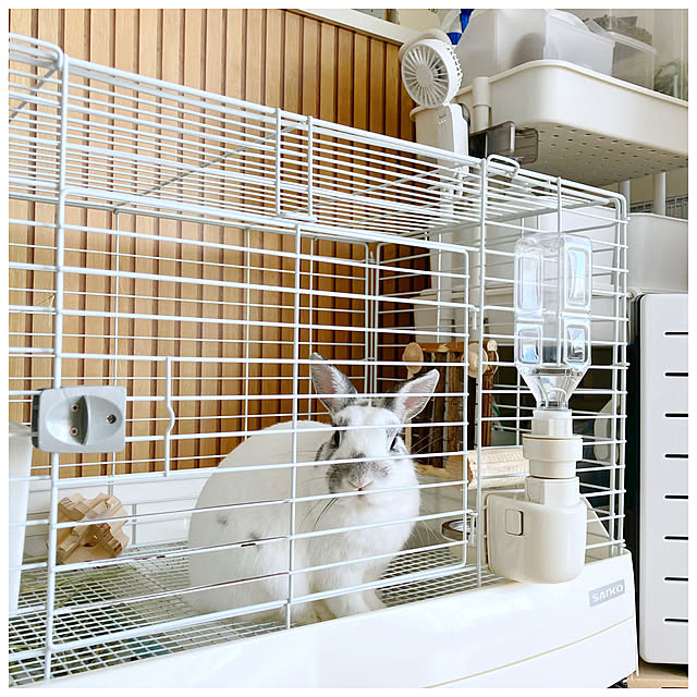 ksfioriさんの実例写真