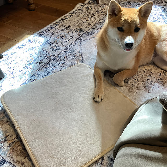 johnp._.qtotoさんの実例写真