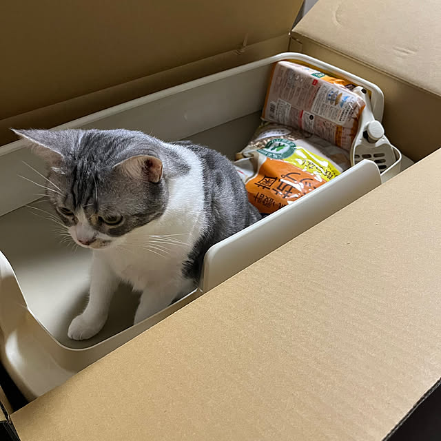 Atelier.mさんの部屋