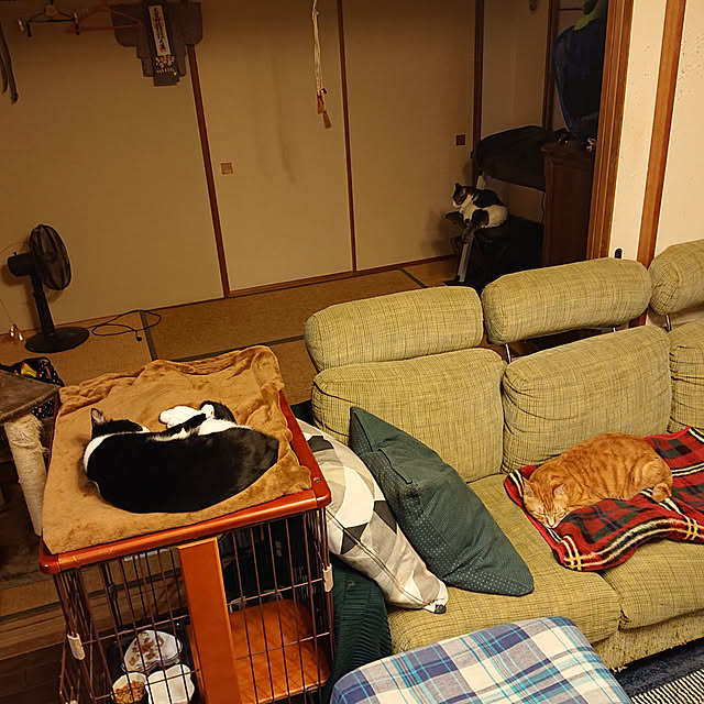 okyosan101さんの実例写真