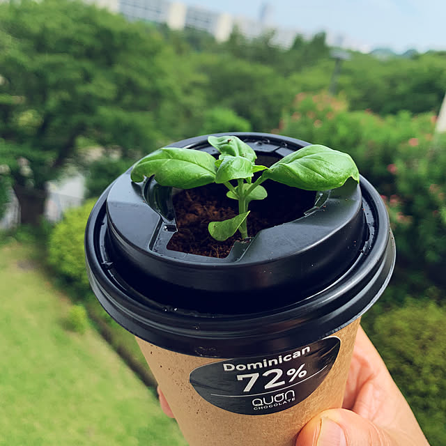 syutmmさんの部屋