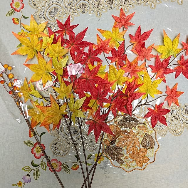 leaf_homeさんの部屋