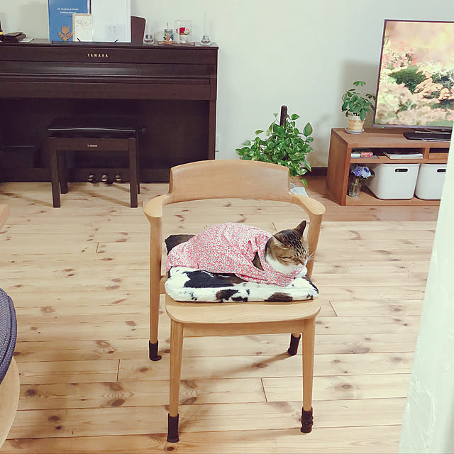 yurari.bonnさんの実例写真
