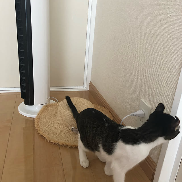 ekanao1128さんの実例写真