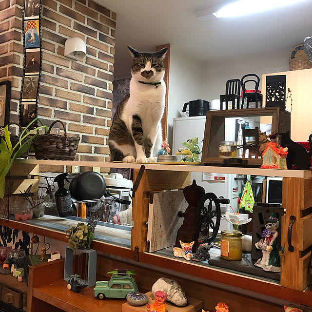 jijiさんの実例写真