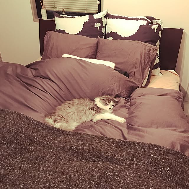 amo69xxさんの実例写真