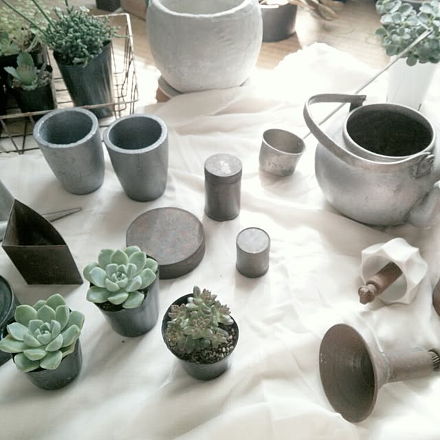 cata_coto_さんの実例写真