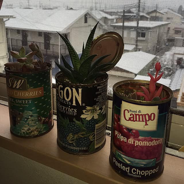 chappyさんの実例写真