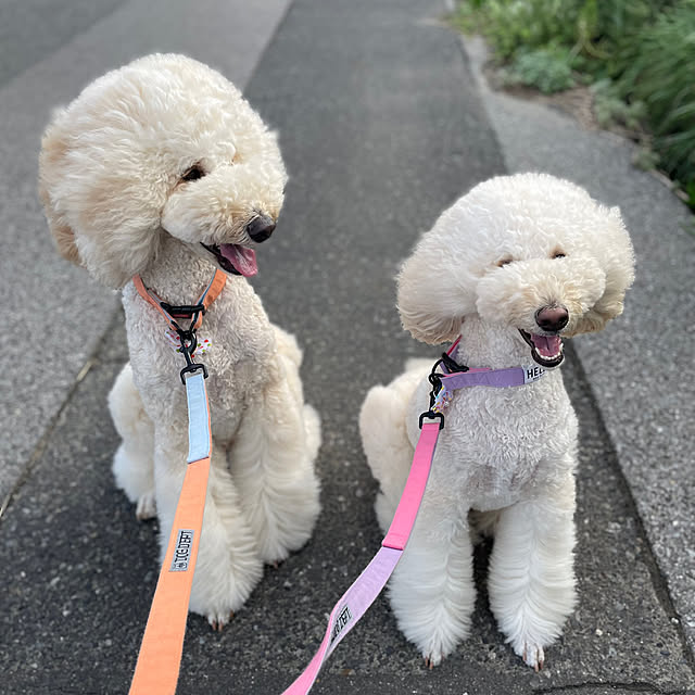 nackeyさんの部屋