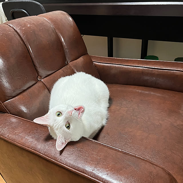 asukachさんの実例写真
