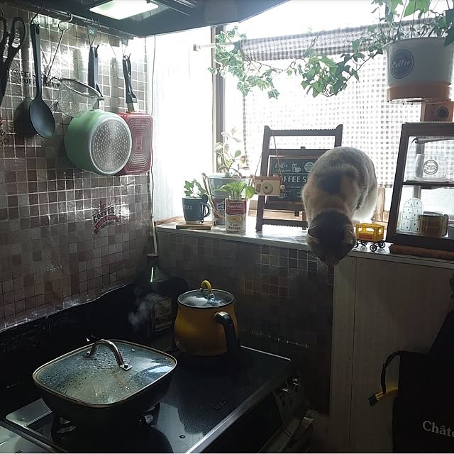 fukuさんの部屋