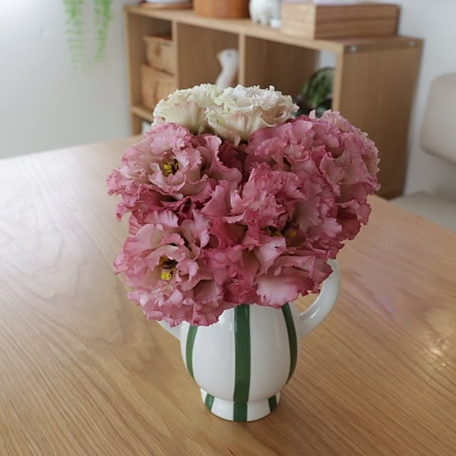 manaさんの部屋