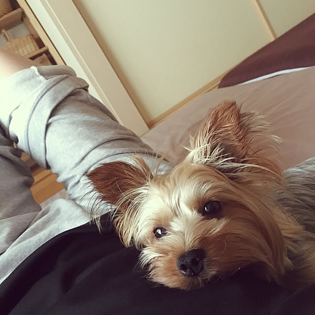 mayuoさんの実例写真