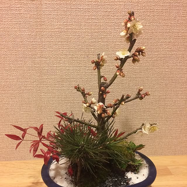 isappさんの実例写真