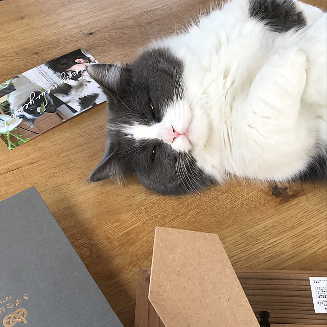 honoさんの実例写真
