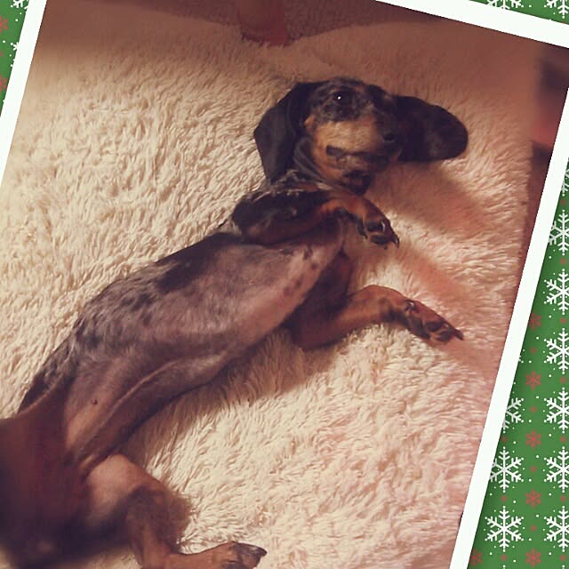 ayuminさんの実例写真