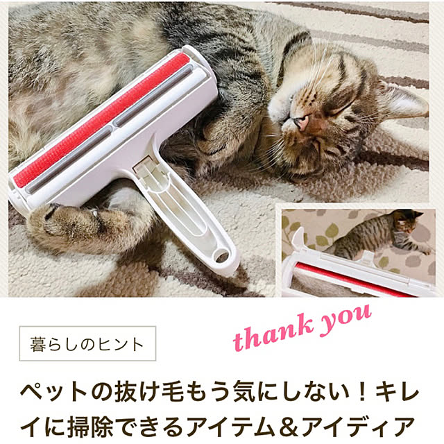 cocomaroさんの実例写真