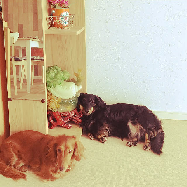 Maiさんの実例写真