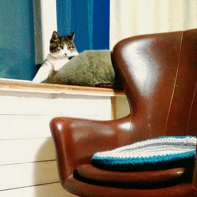 otubuさんの実例写真