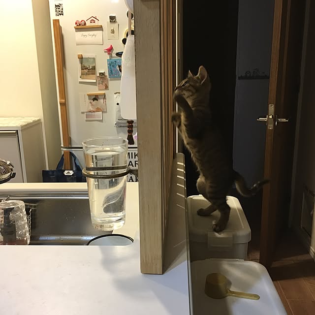 mikomaruさんの実例写真