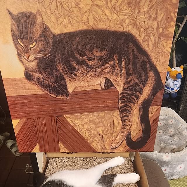 taroさんの部屋