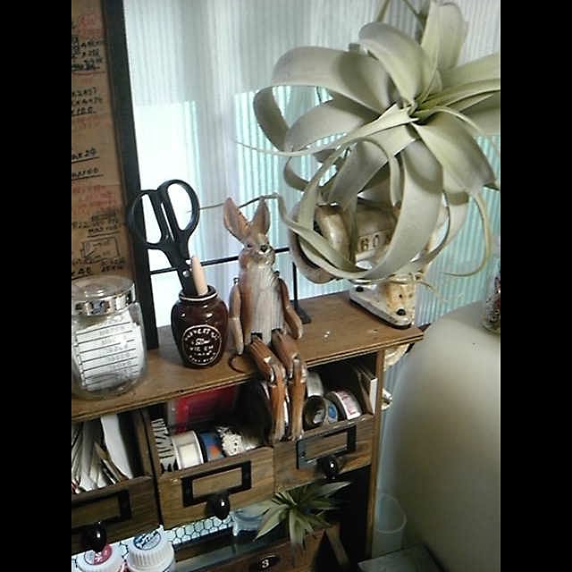 INDOORさんの実例写真