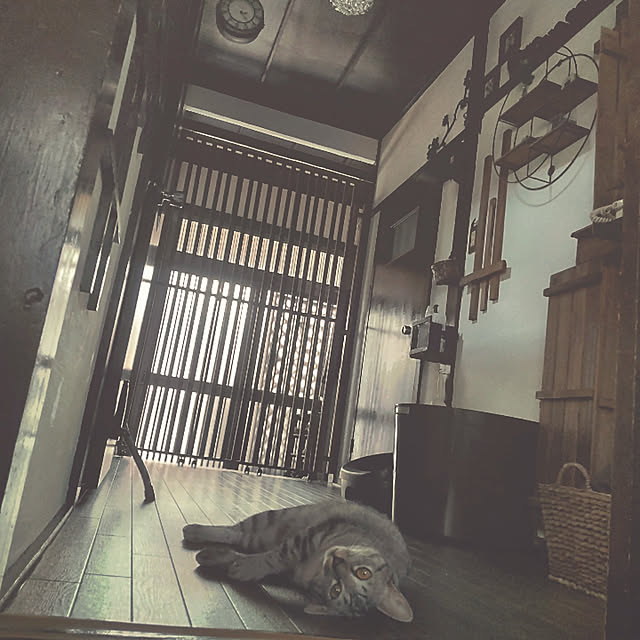 実例写真