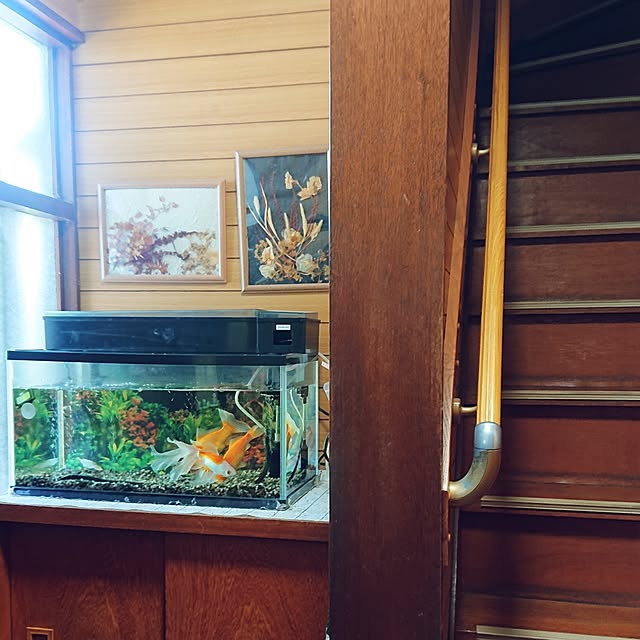 NOAHさんの部屋