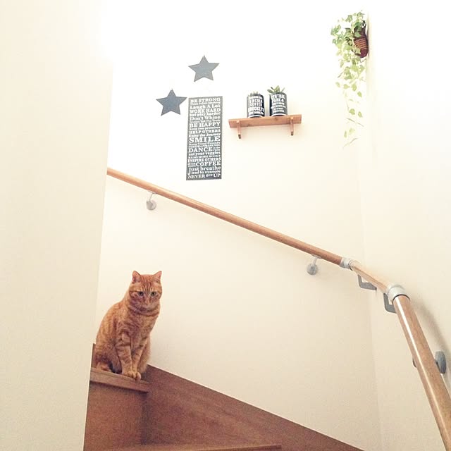 youkoさんの実例写真