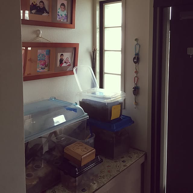 kanakoさんの実例写真