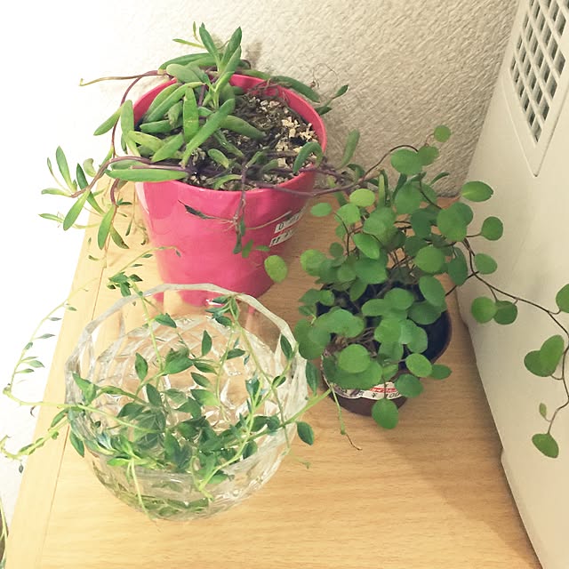 mamaさんの実例写真