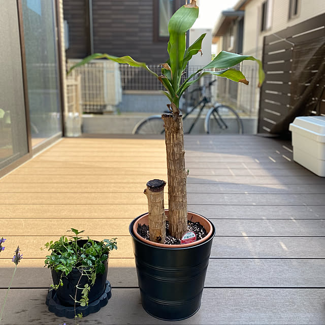 porinさんの実例写真