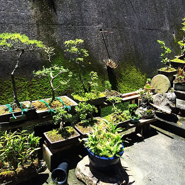 玄関/入り口のインテリア実例 - 2016-07-14 12:26:17