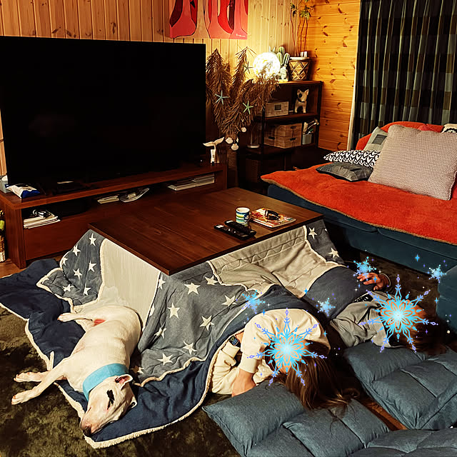 kimuneisanさんの実例写真