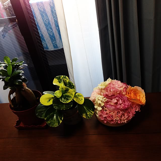 mayaさんの実例写真