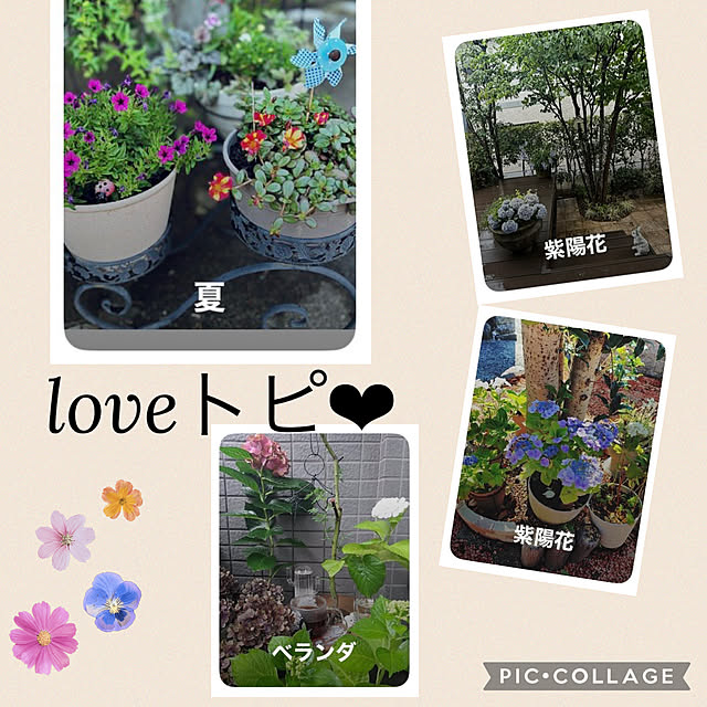 CoCo0617さんの実例写真