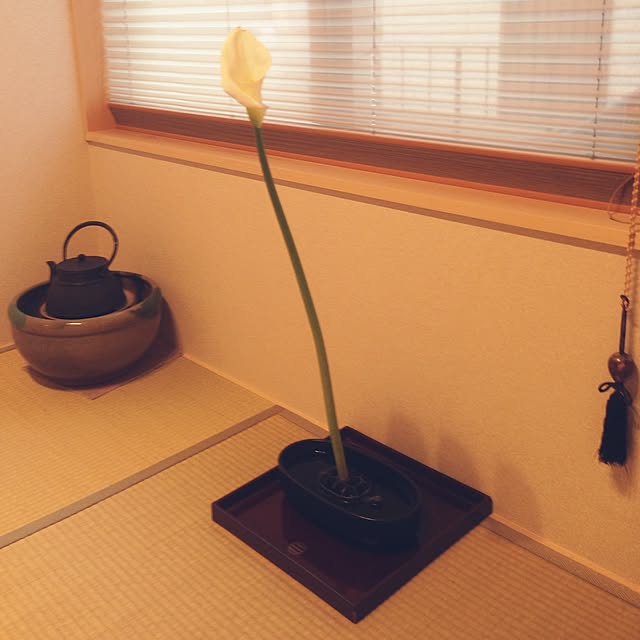 Yasuoさんの実例写真