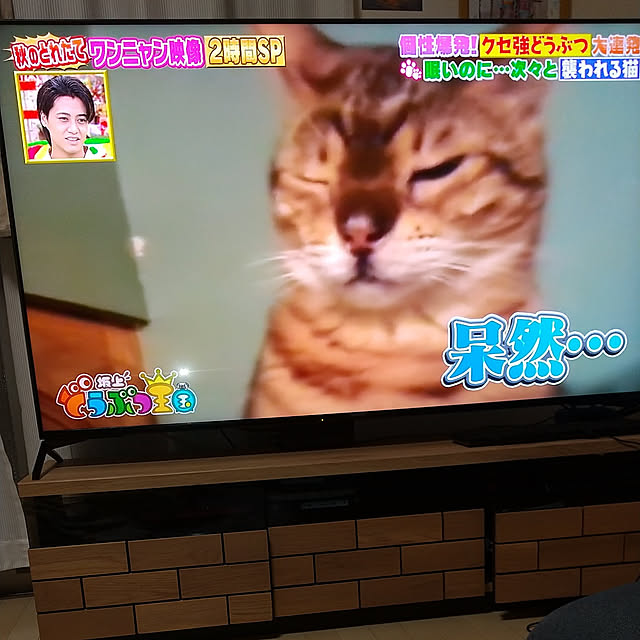 junさんの実例写真