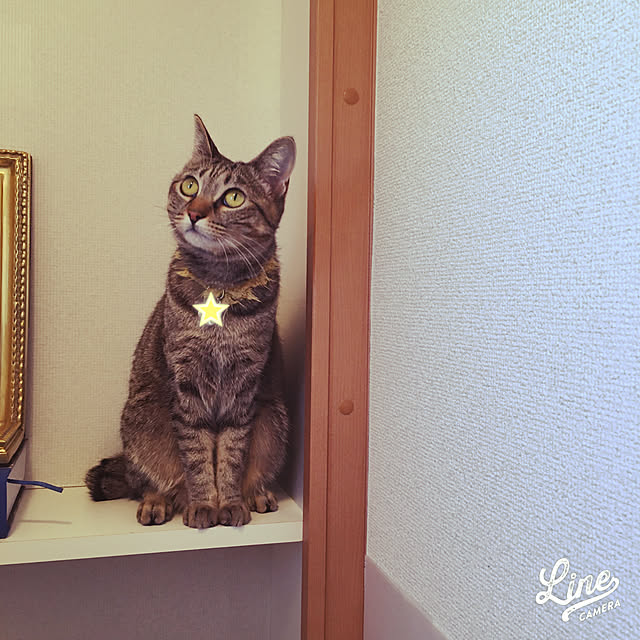 Mさんの実例写真